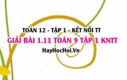 Giải 1.11 Toán 12 tập 1 SGK Kết nối tri thức